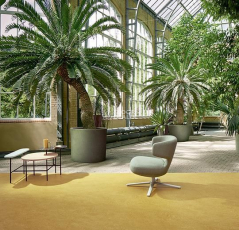 Forbo Marmoleum Decibel on Order 325935 mustard фото 2 | FLOORDEALER